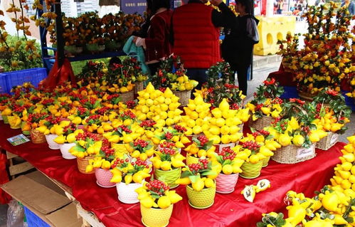 大良花街震撼图片流出，网友惊叹 100蚊根本唔够洗！